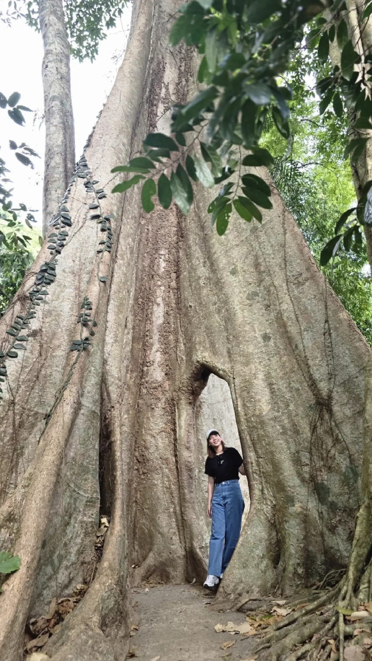 ‘ตักบาตรใบไม้’ กับเส้นทาง ‘ลมหายใจสีเขียวแห่งจันทบุรี’