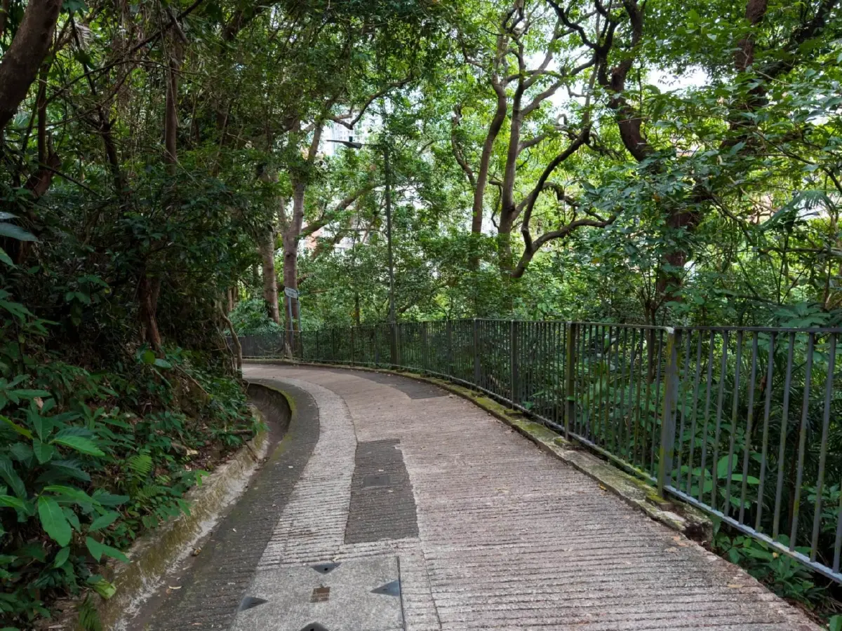 'Runcation' ที่ฮ่องกง เที่ยวไปวิ่งไป ชมวิวหลักล้านด้วยสองขา