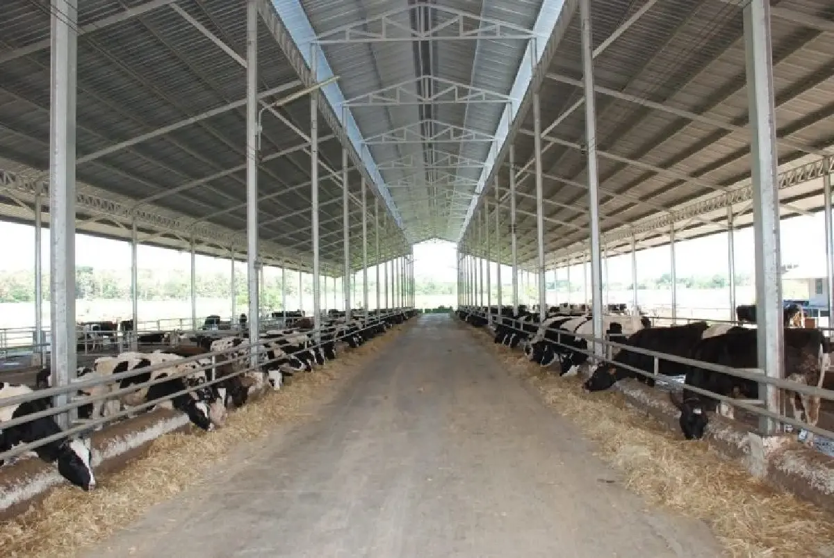 กระทรวงเกษตรฯ เร่งระบายนมล้นตลาด ดัน MOU พยุงรายได้เกษตรกร