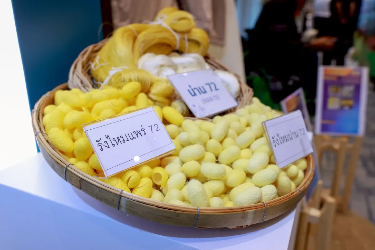หม่อนไหมไฮเทค ผนึก สวทช.-ธ.ก.ส. อัปเกรดสิ่งทอไทย โชว์ งานEco Innovation