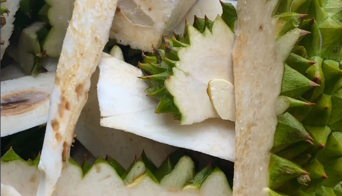 นักวิจัยจุฬาฯ เปิดตัว MUW.OFFICIAL นวัตกรรมสิ่งทอแฟชั่นจากเส้นใยเปลือกทุเรียน