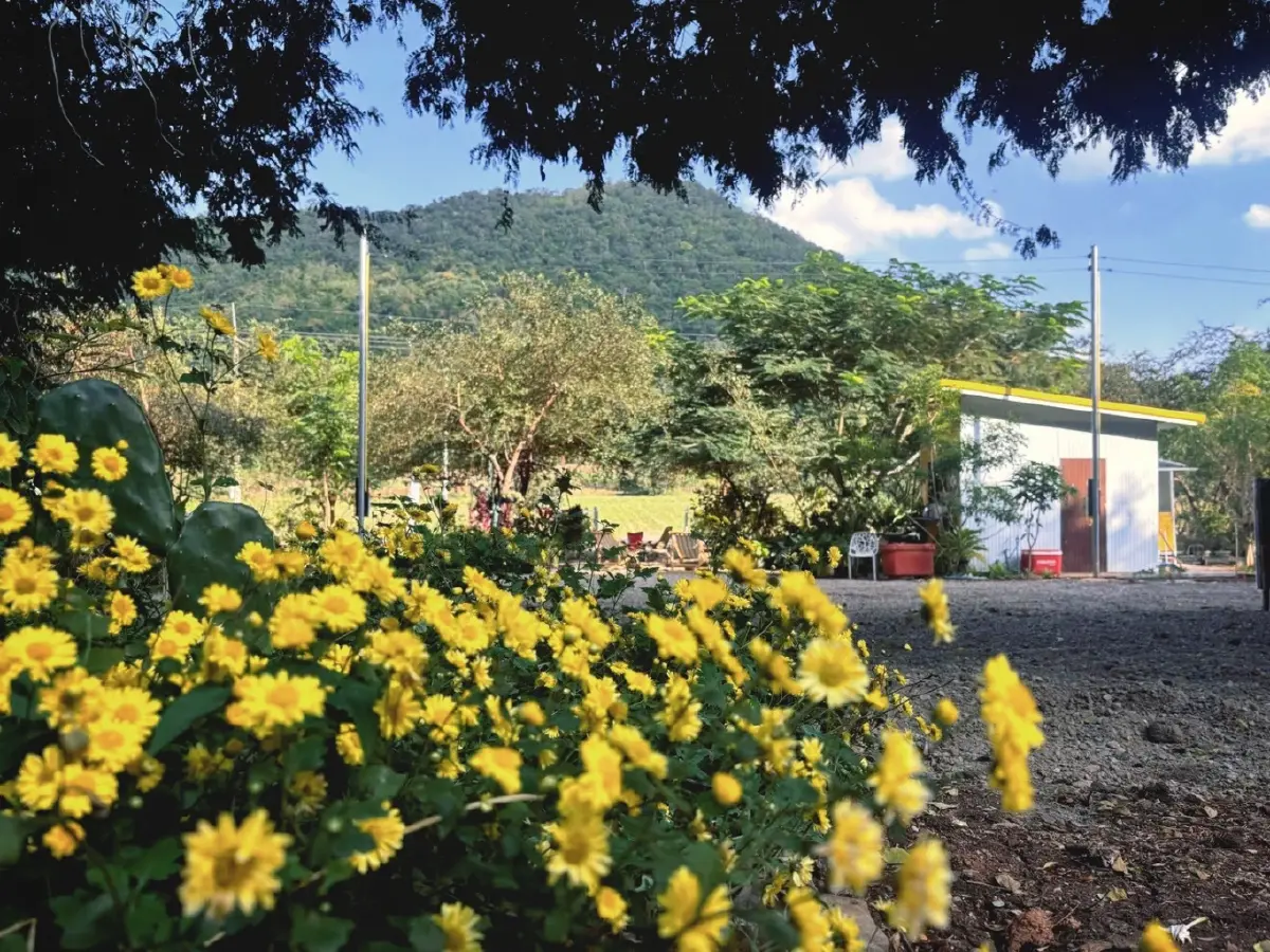 เปิดโมเดลธุรกิจเขาใหญ่ 2026 'วรรณลี ศรีจำปา' พลิกเกมรีสอร์ทล้น ปั้น Social Enterprise