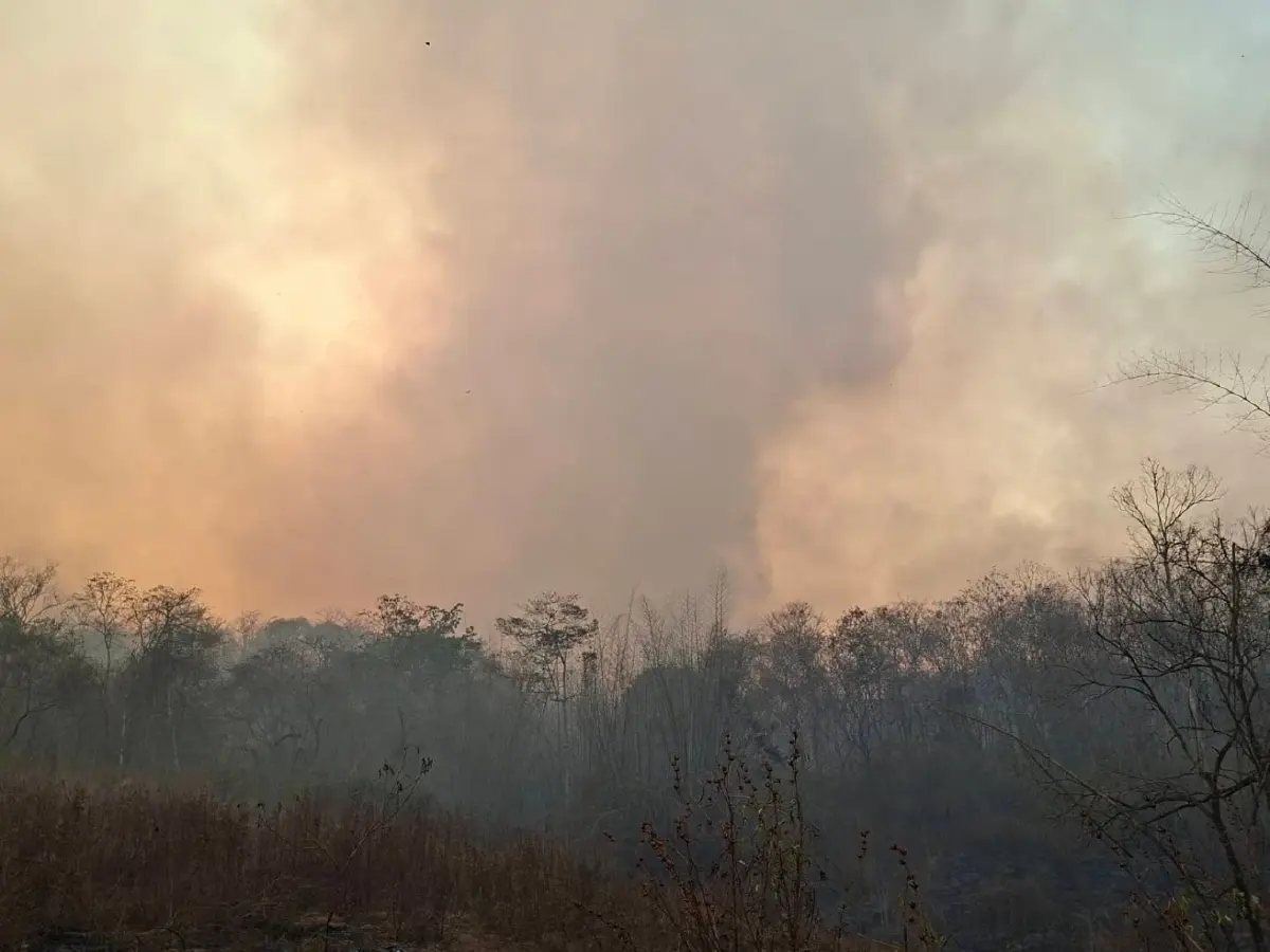 กรมอุทยานฯ สั่งเข้ม 14 กลุ่มป่าเหนือ-ตะวันตก เฝ้าระวังไฟป่า 2 พันจุด
