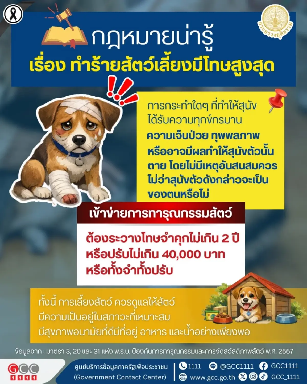 ระวังได้นอนคุก ทำร้ายสัตว์เลี้ยงตัวเอง คนอื่น โทษหนัก ปรับ 4 หมื่น