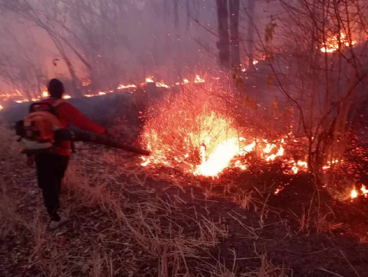 ระดมกำลังดับไฟป่าภูเขียว 3 วัน ล่าสุดคุมได้แล้ว​ เสียหาย 190 ไร่ ย้ำงดเผาทุกกรณี