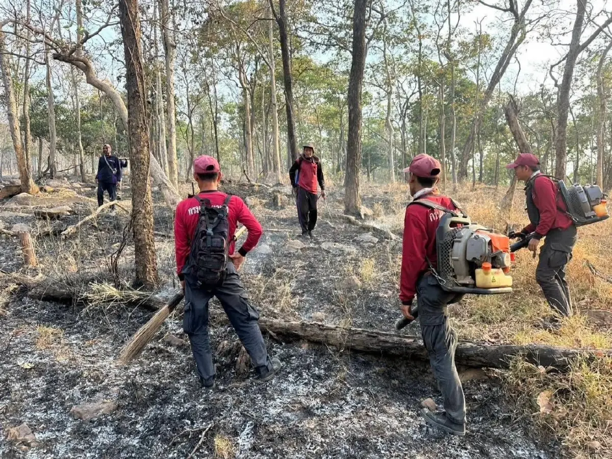 คุมได้แล้ว 'ไฟป่าสะแกราช' พบเสียหายกว่า 6,000 ไร่ เฝ้าระวังเข้มสกัดลักลอบเผา