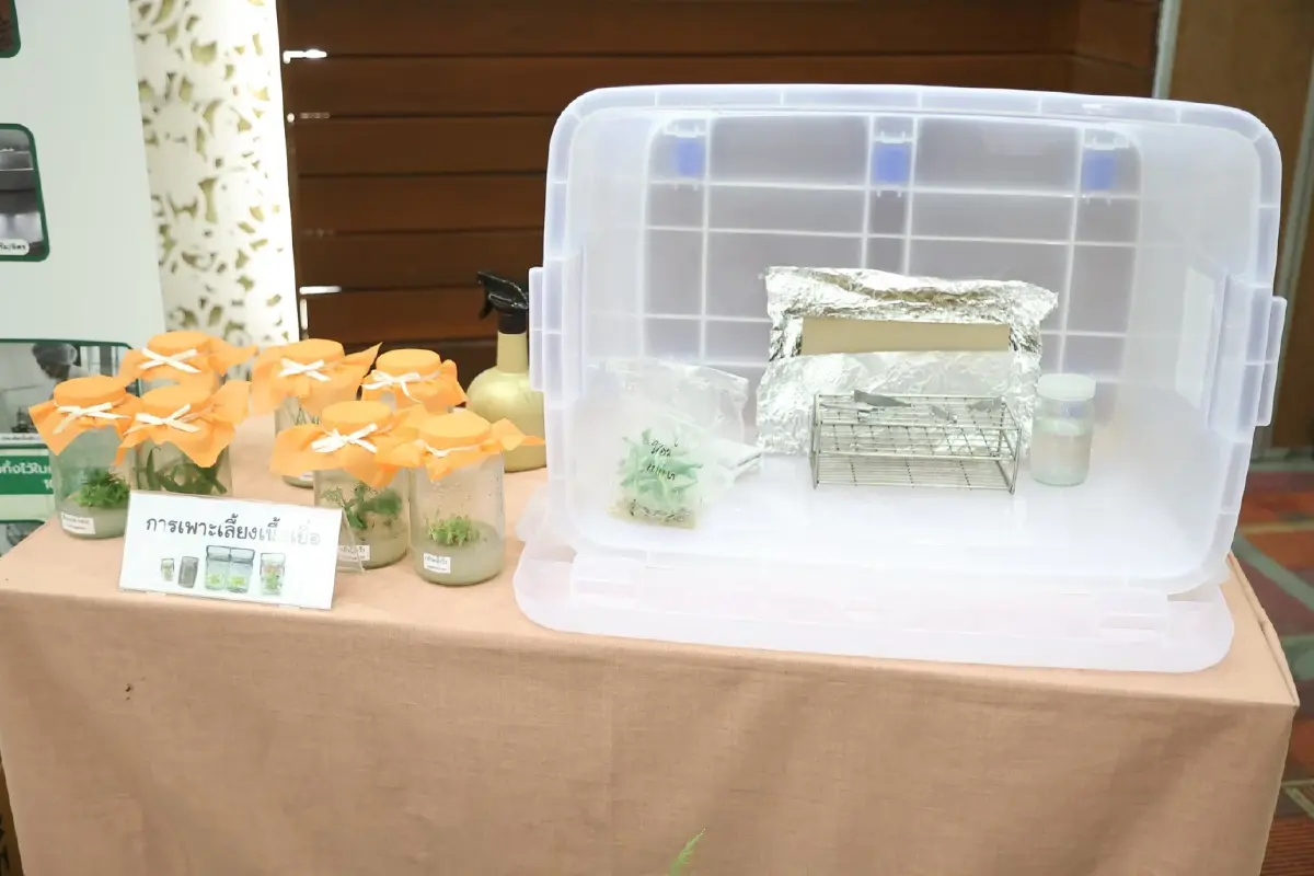 กรมส่งเสริมการเกษตร ติว จนท. ผลิตพืชพันธุ์ดี 4สายการผลิต