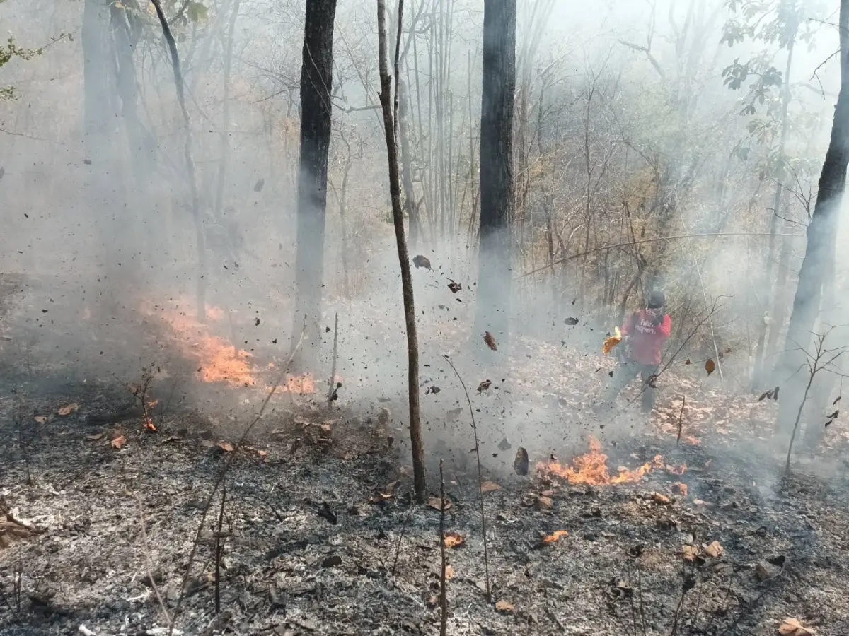 บทเรียนจากปาย: ไฟแปลงใหญ่ลดได้จากความร่วมใจท้องที่-ท้องถิ่น-ชุมชน