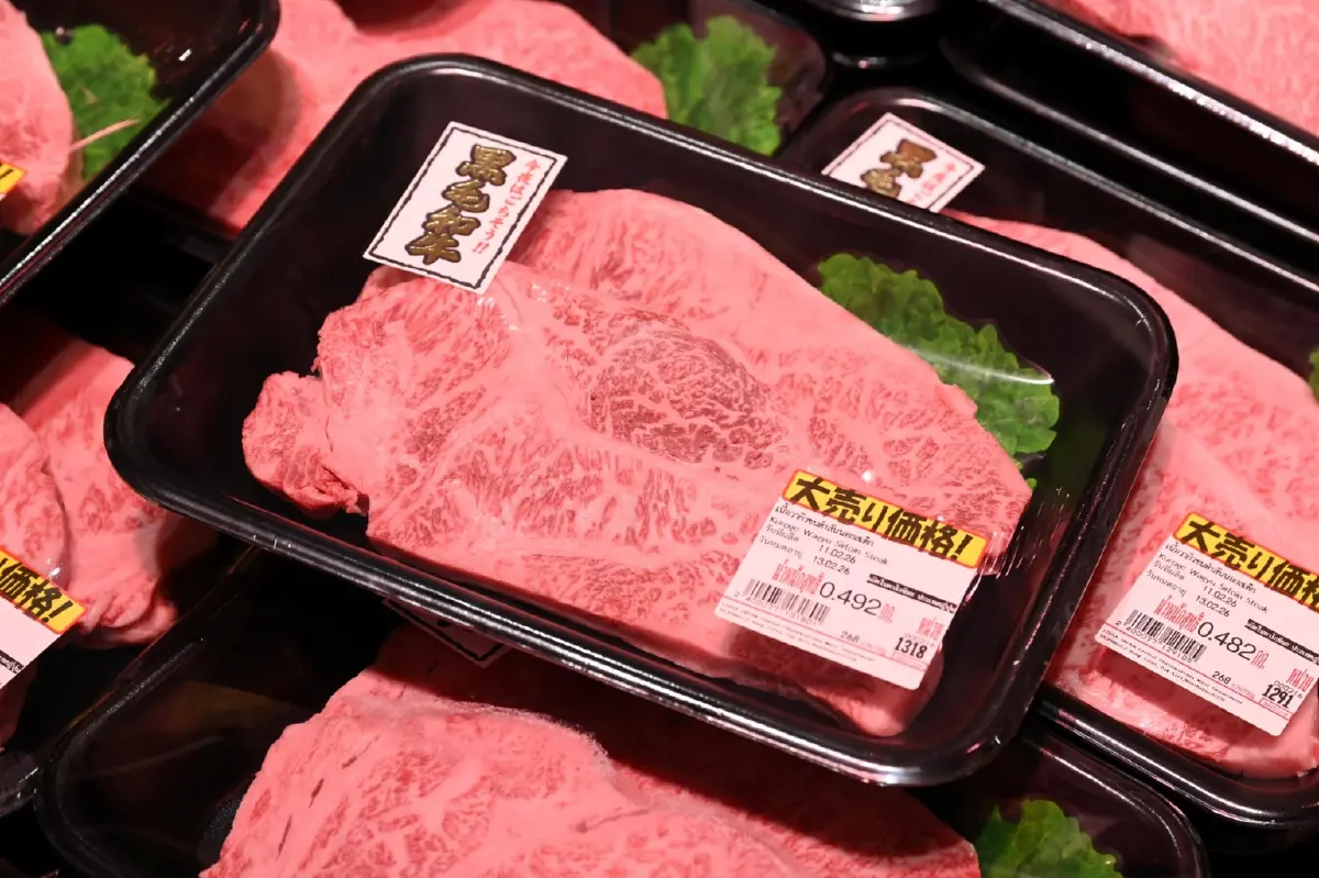 ‘LOPIA JAPAN’ บุกไทย เตรียมเปิด ‘50 สาขา’ มองไทยศักยภาพสูง สร้างโรงงาน-ใช้เป็นฐานส่งออก