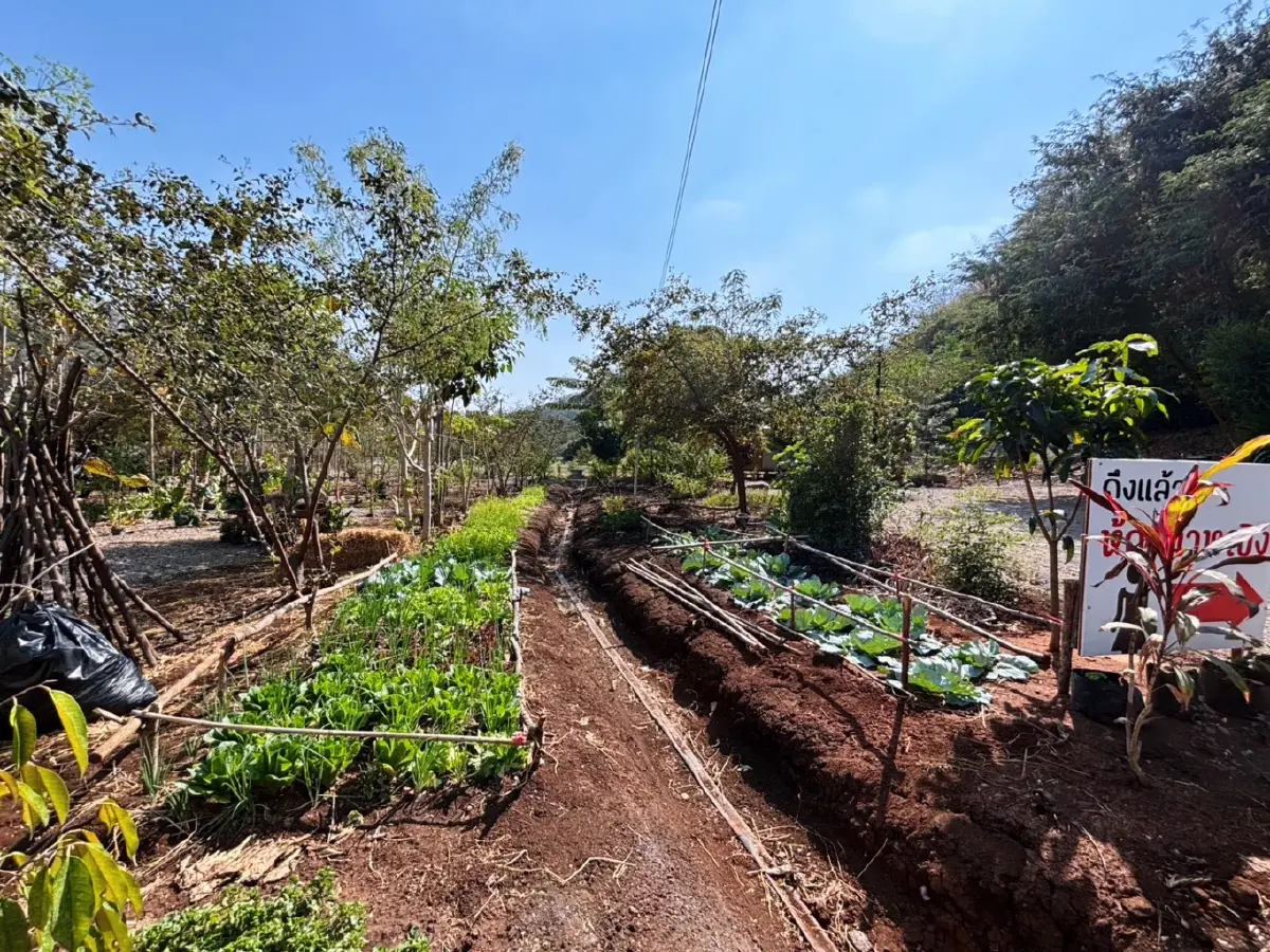 เปิดโมเดลธุรกิจเขาใหญ่ 2026 'วรรณลี ศรีจำปา' พลิกเกมรีสอร์ทล้น ปั้น Social Enterprise