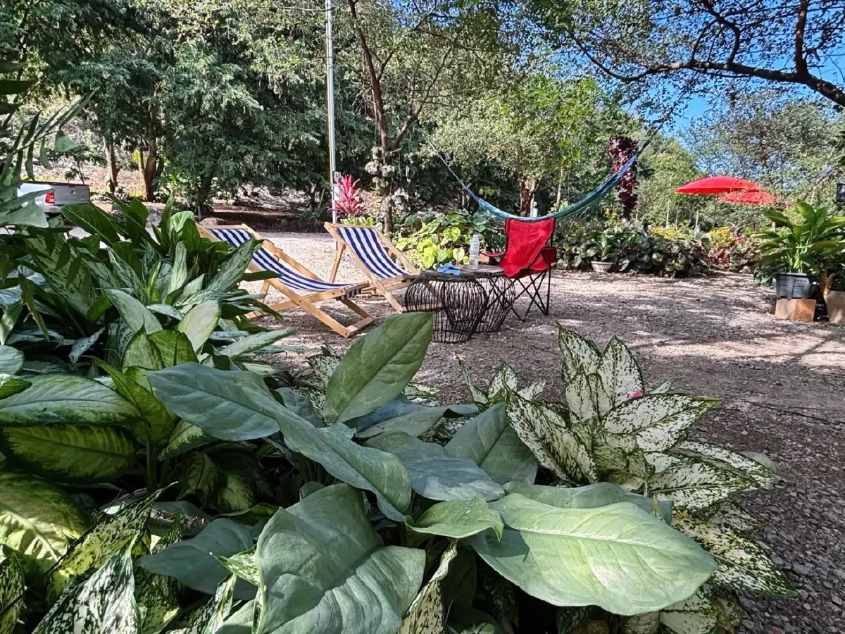 เปิดโมเดลธุรกิจเขาใหญ่ 2026 'วรรณลี ศรีจำปา' พลิกเกมรีสอร์ทล้น ปั้น Social Enterprise