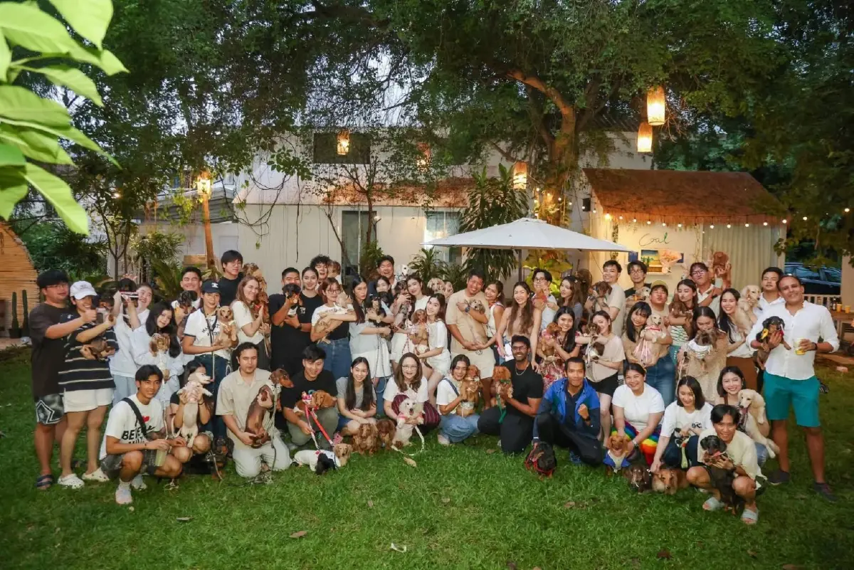'ฮุนด์เฮ้าส์' คลับไฮโซของน้องหมาเปิดใหม่ ค่าสมาชิกปีละแสนสอง!