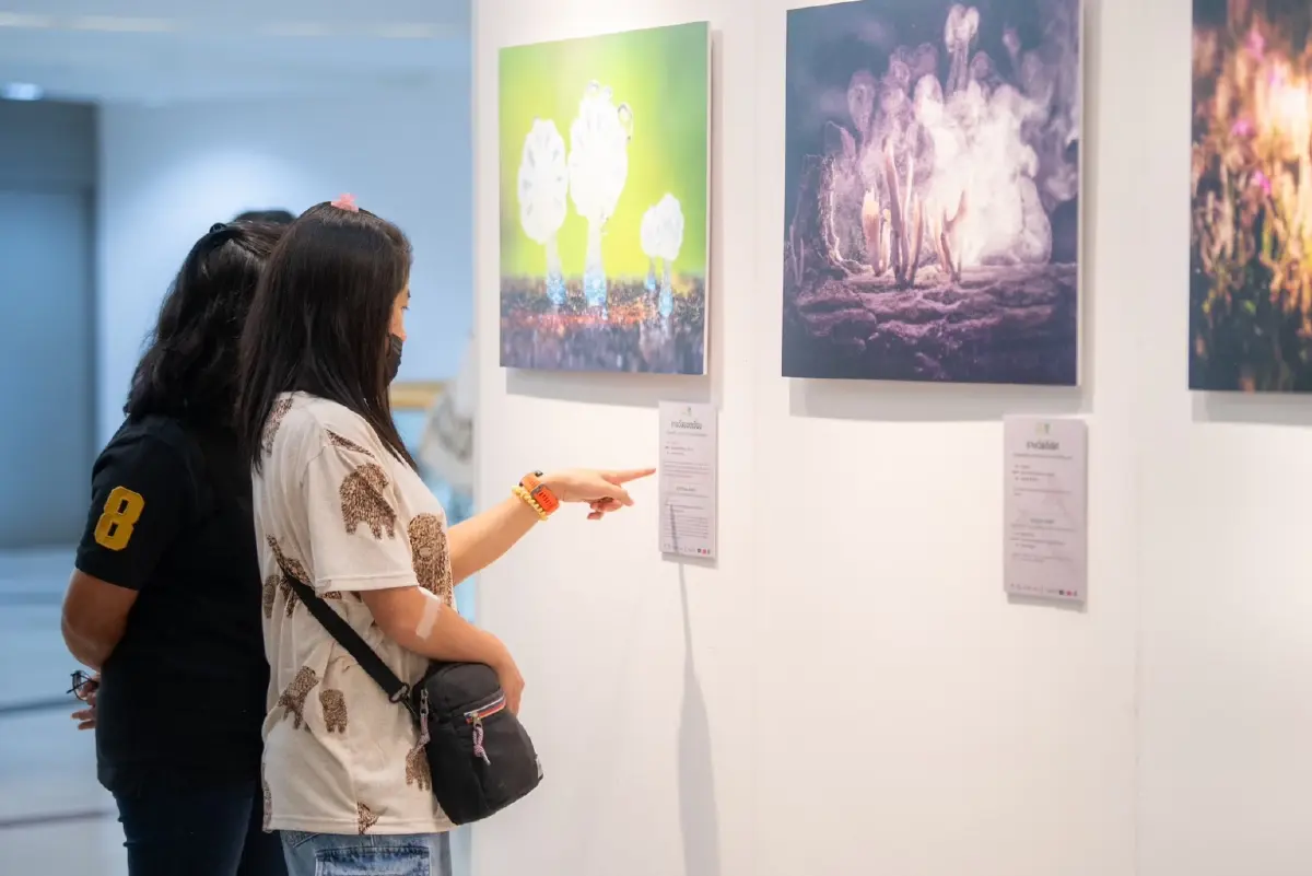 3 ทศวรรษแห่งความยั่งยืน รางวัลภาพถ่าย 'สัตว์มีค่า ป่ามีคุณ' ครั้งที่ 31 ประจำปี 2568