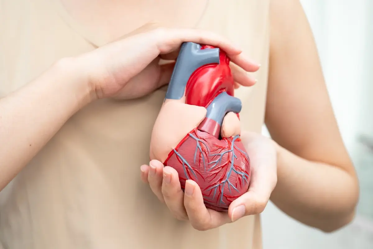 เหนื่อยง่าย นอนหงายแล้วอึดอัด อาจเสี่ยง 'โรคลิ้นหัวใจ'