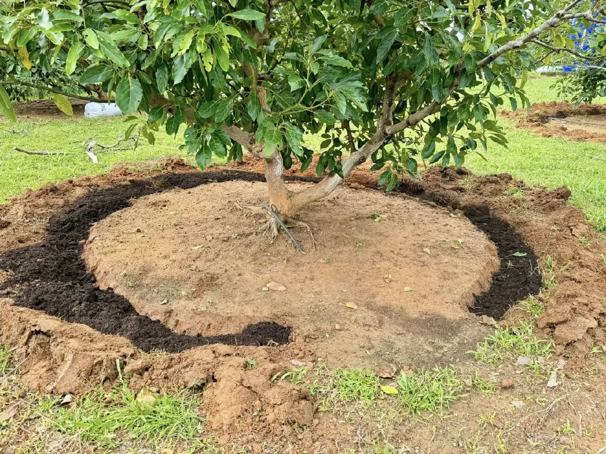 พัฒนาชุมชนแบบองค์รวม นำร่องชัยภูมิ เซ็นทรัลเชื่อม 8 มิติ รายได้–สิ่งแวดล้อม