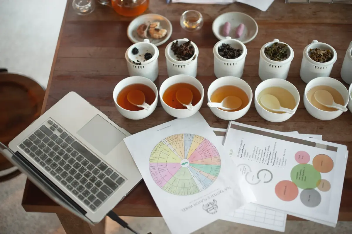 'สวรรค์บนดิน' มากกว่าร้านชา โมเดลเศรษฐกิจเพื่อชุมชนและผืนป่าเชียงราย