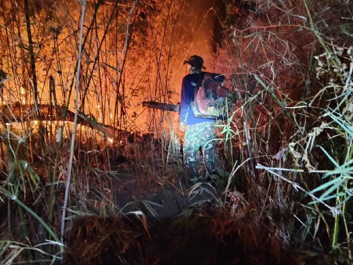 ระดมกำลังดับไฟป่าภูเขียว 3 วัน ล่าสุดคุมได้แล้ว​ เสียหาย 190 ไร่ ย้ำงดเผาทุกกรณี