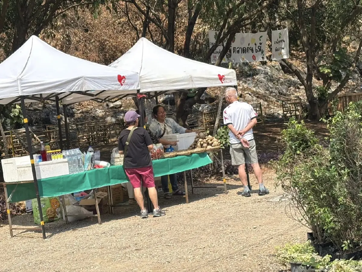 เปิดโมเดลธุรกิจเขาใหญ่ 2026 'วรรณลี ศรีจำปา' พลิกเกมรีสอร์ทล้น ปั้น Social Enterprise