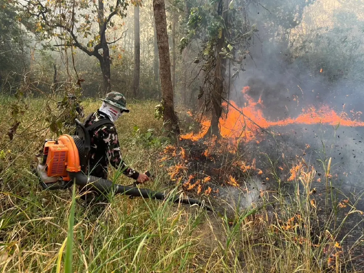 ไฟป่าสระแก้ว-บุรีรัมย์ วอด 20 ไร่! คาดเผาหาของป่า จนท.คุมเข้ม