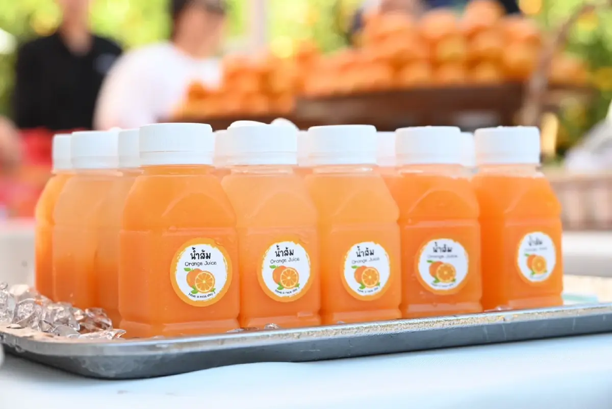 ‘ส้มสายน้ำแร่ อ. ฝาง’ ของดี GI ล็อตสุดท้ายรับไหว้ตรุษจีน