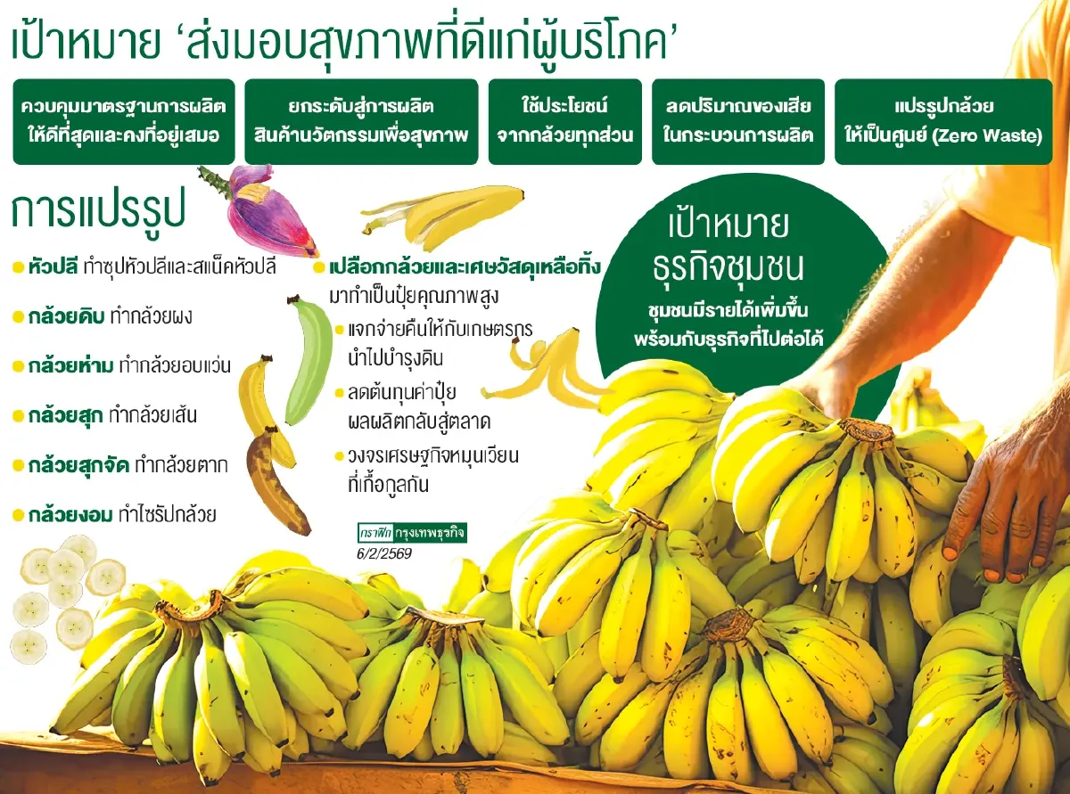 โมเดลปันกัน 'กล้วยสมุทรสงคราม' สร้างงาน สร้างรายได้ชุมชนยั่งยืน