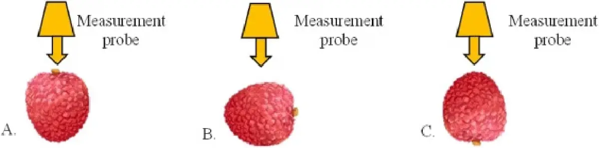 มช.โชว์งานวิจัย เทคโนโลยี NIR ตรวจคุณภาพลิ้นจี่ คัดเกรดได้แม่นยำ