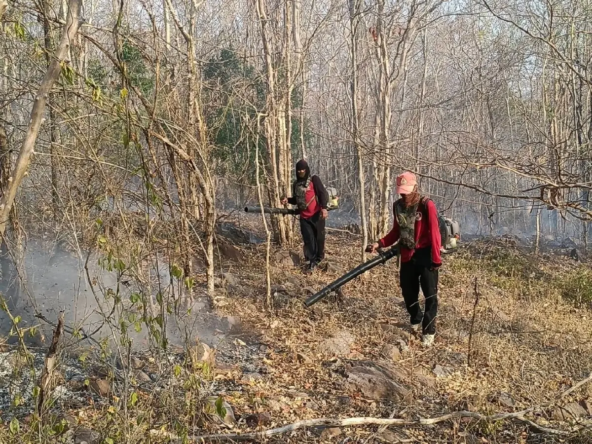 ไฟป่าสระแก้ว-บุรีรัมย์ วอด 20 ไร่! คาดเผาหาของป่า จนท.คุมเข้ม