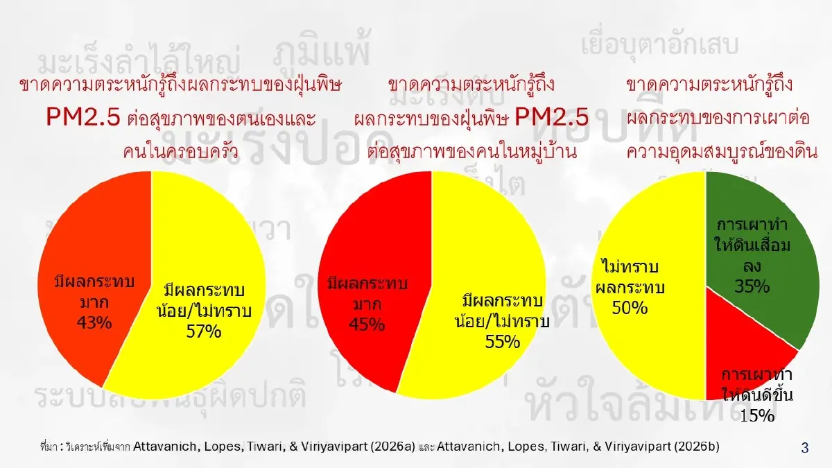 งานวิจัยเผย 10 เหตุผล เกษตรกรนครนายกยัง 'เผานา' ท้าทายนโยบายแก้ PM2.5