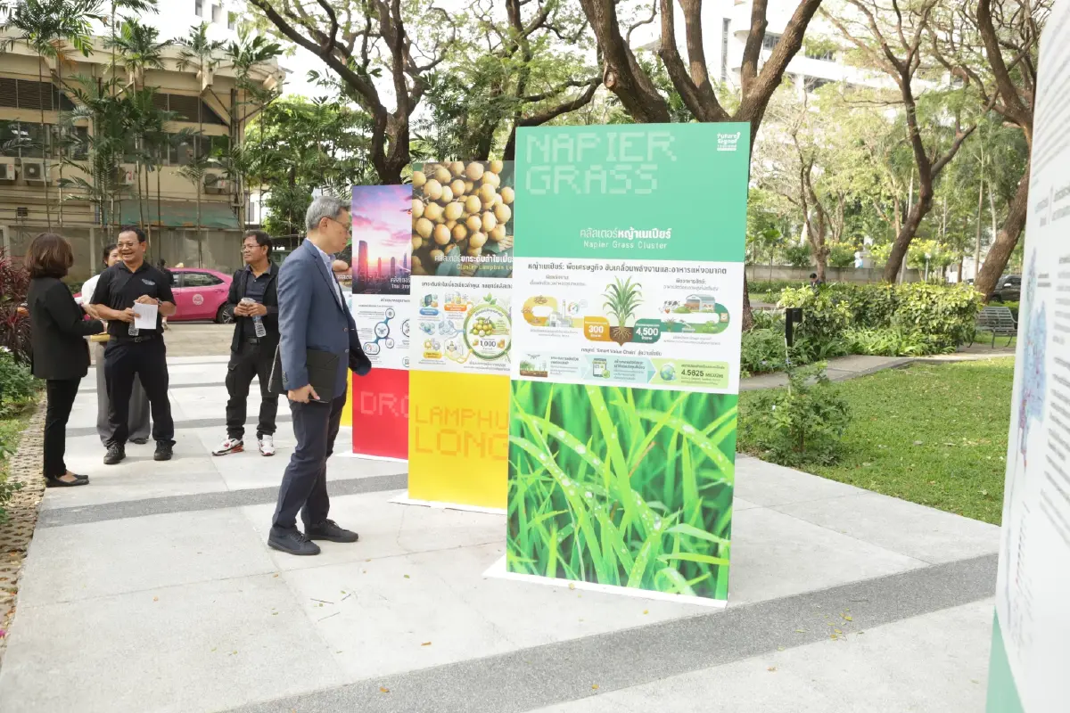 รู้จัก 'แพลตฟอร์มบ่มเพาะและเร่งรัดธุรกิจเพื่อสังคมแห่งประเทศไทย'