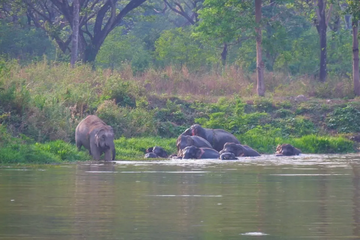 รุกโปรเจกต์ 'บ่อน้ำเขาใหญ่' ดึงช้างกลับเข้าป่าลึก ลดปัญหาบุกรุกชุมชน