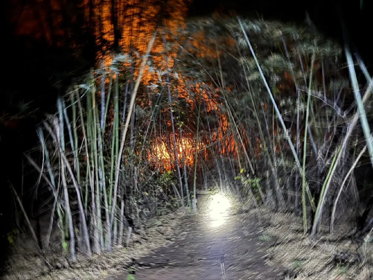 วิกฤตไฟป่ากาญจน์! ระดม เสือไฟ-ฮ. สกัดไฟป่า หวั่นลามป่าอนุรักษ์ชั้นใน