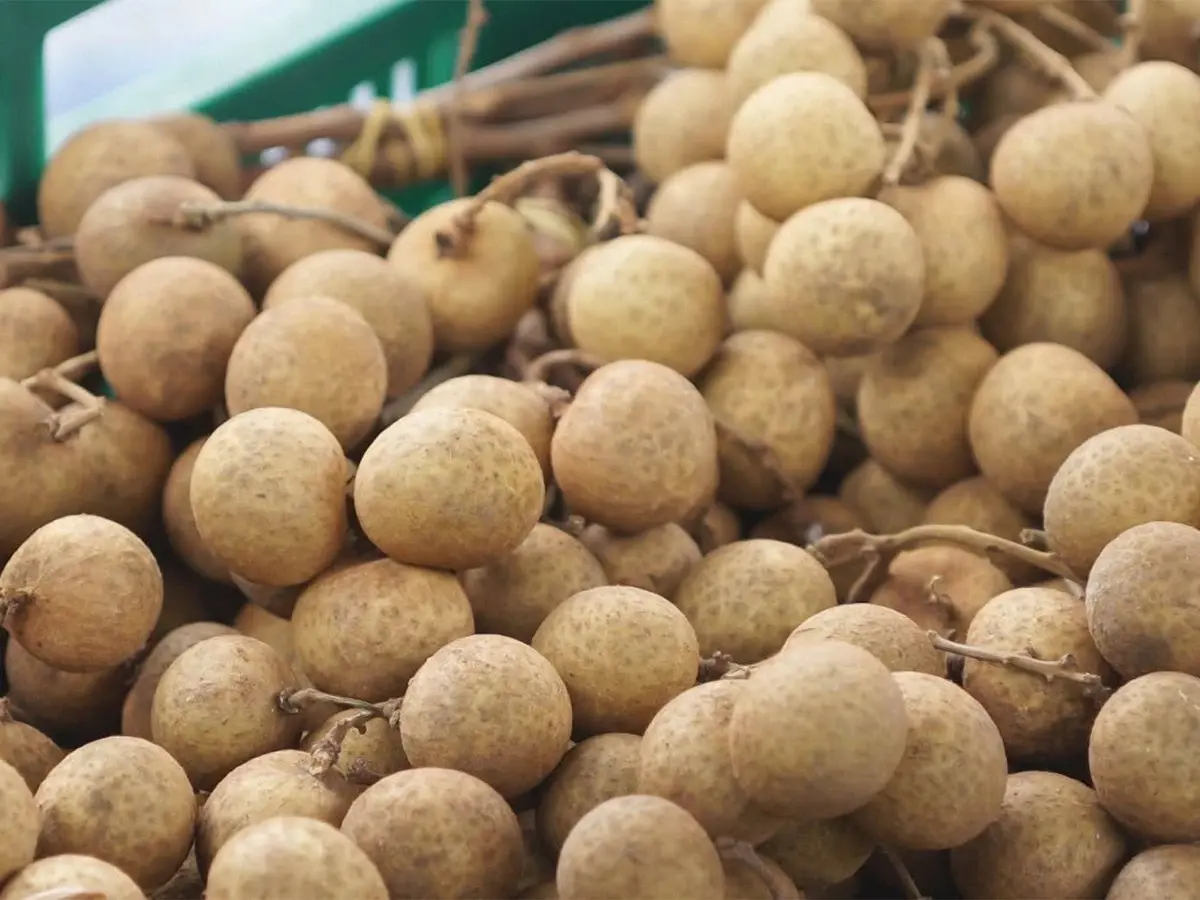 กรมวิชาการเกษตร บุกเกาหลีใต้ ถกอุปสรรคทางการค้า ขยายตลาดผลไม้เมืองร้อน