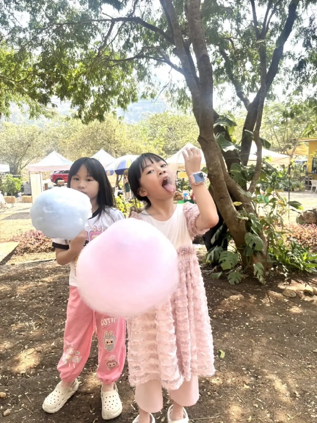 เปิดโมเดลธุรกิจเขาใหญ่ 2026 'วรรณลี ศรีจำปา' พลิกเกมรีสอร์ทล้น ปั้น Social Enterprise