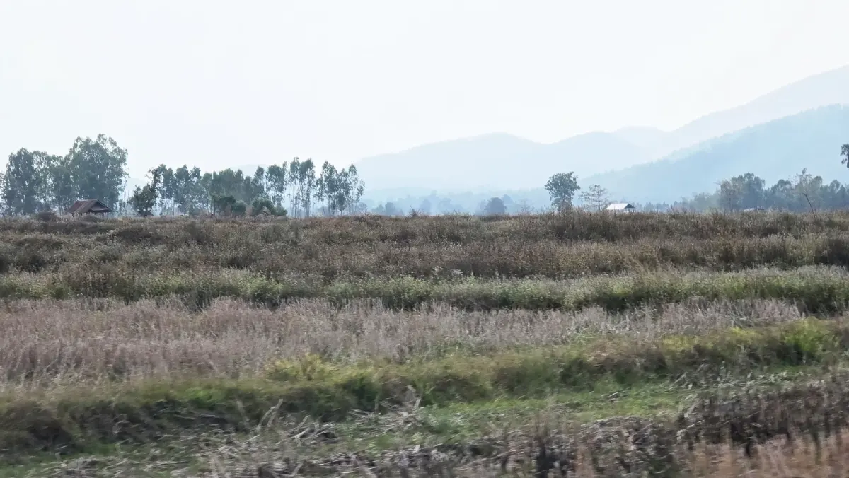 ผจญภัยท้าทาย 1,100 กิโลเมตร เชียงราย-อยุธยา กับ BYD SEAL 5 DM-i SUPER PHEV