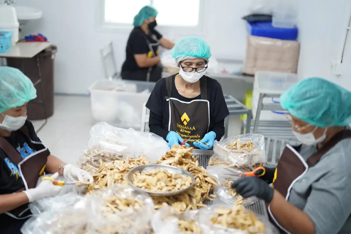 โมเดลปันกัน 'กล้วยสมุทรสงคราม' สร้างงาน สร้างรายได้ชุมชนยั่งยืน