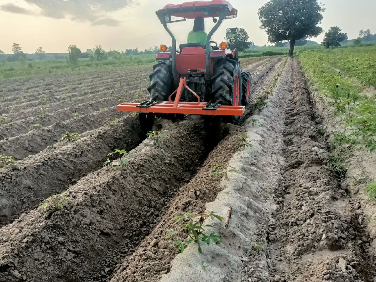 เกษตรฯ ดัน แปลงใหญ่มันสำปะหลังร้อยเอ็ด ต้นแบบเกษตรมูลค่าสูง