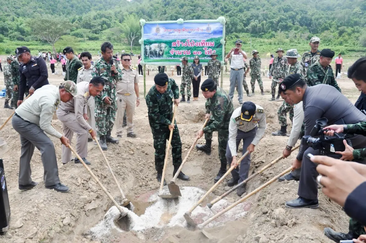 สูญเสีย 'สีดอหูพับ' กลางภารกิจเคลื่อนย้าย เขย่ามาตรการจัดการช้างป่าไทย