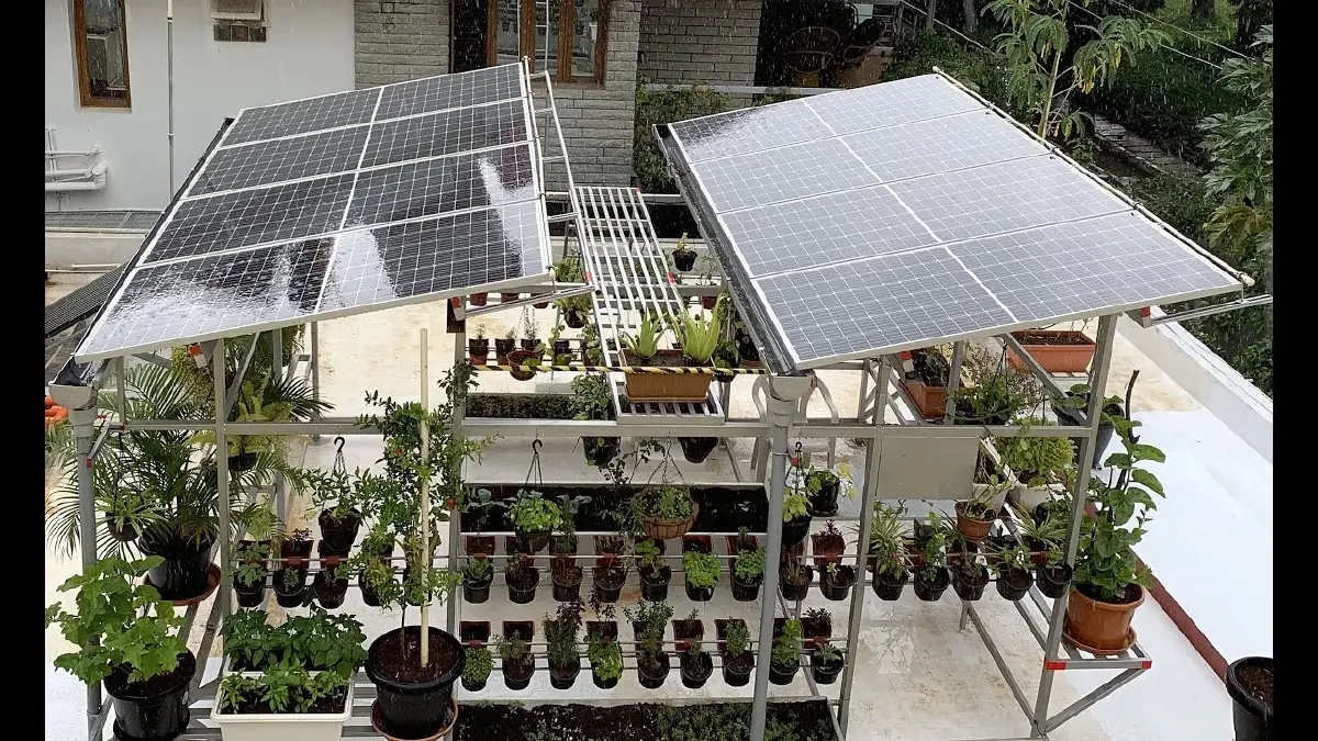‘Rooftop Agrivoltaics’ ทำสวน-ติดโซลาร์เซลล์บนดาดฟ้า ได้ทั้งพลังงานสะอาด-อาหารพร้อทกัน
