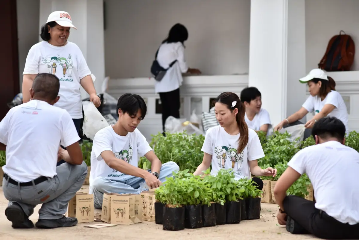 แจกต้นไม้ฟรี ที่ทำบุญวันมาฆบูชา 2569 เวียนเทียนต้นไม้ ลดโลกร้อน