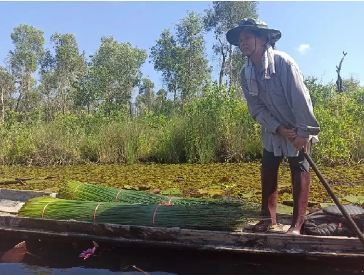 โลกเปลี่ยน พื้นที่ชุ่มน้ำป่วย กับความเร่งด่วนในการฟื้นฟูภูมิคุ้มกันทางธรรมชาติ 