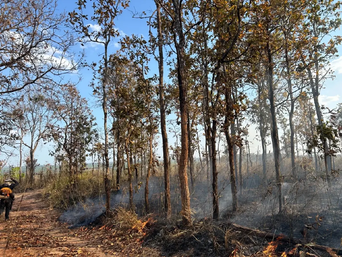ภูผายลระอุ ไฟป่าถล่มวอด 7 ไร่ เผยต้นเหตุ 'หาของป่า' ทำพังพินาศ