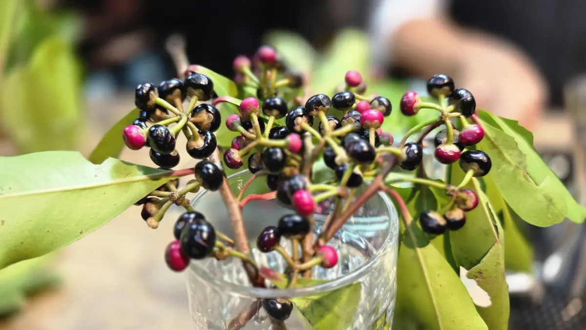 เมื่อ ‘รสชาติ’ กลายเป็นเหตุผลของการเดินทาง ‘EAT THE EAST’