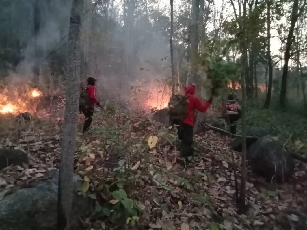 สบอ.14 ลาดตระเวนเข้ม 5 จังหวัดภาคเหนือ พบไฟป่า 11 จุด เสียหายรวม 79 ไร่