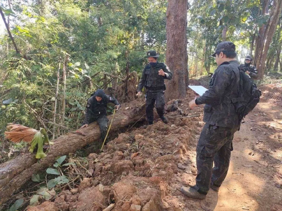 อธิบดีอุทยานฯ สั่งฟันอดีตหัวหน้าเขตฯ รุกป่าแม่ยวม รื้อถนนตัดใหม่