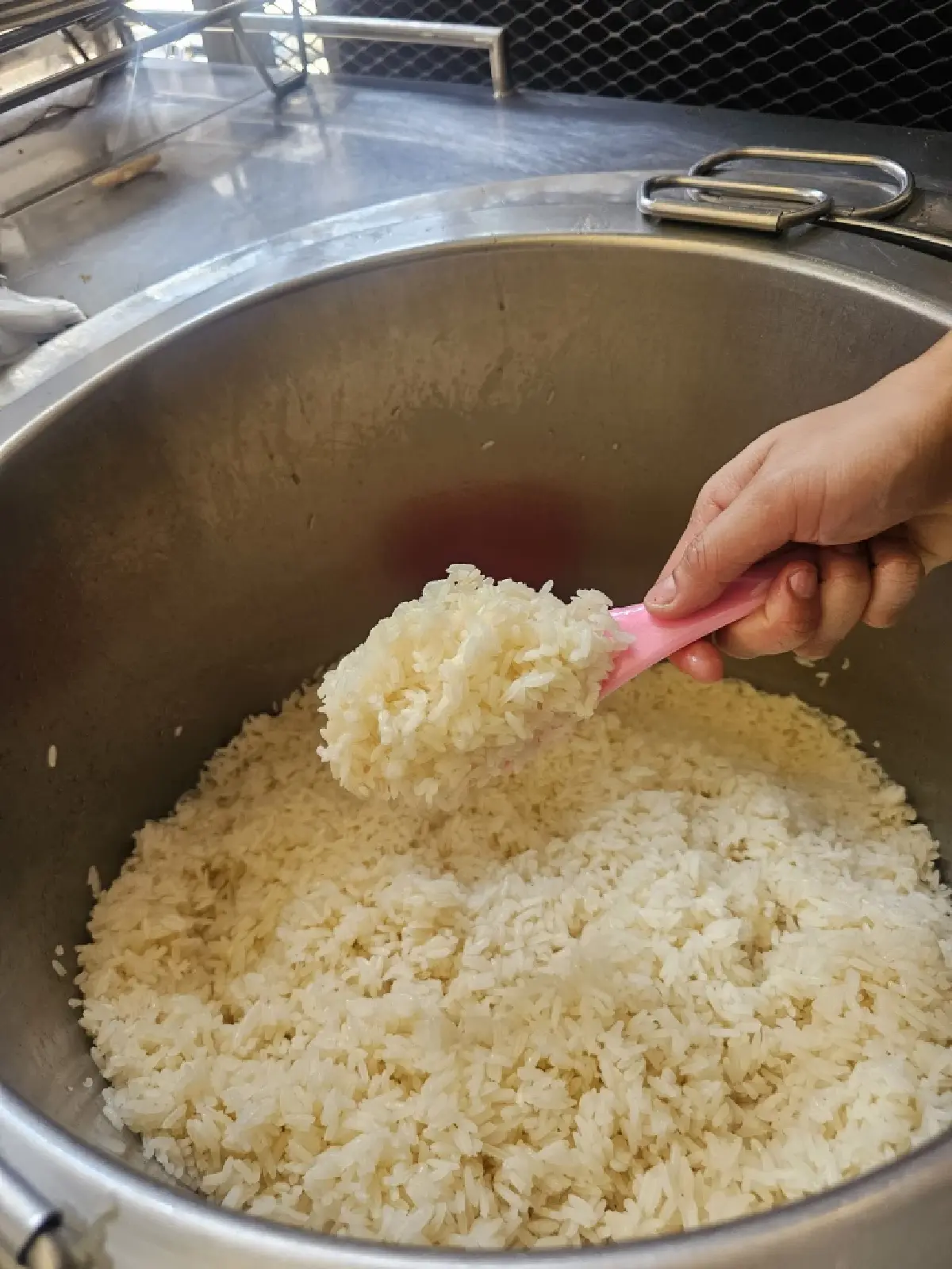 ‘ข้าวมันไก่ตอนลุงเตี้ย’ พัฒนาการ 53  ไก่นุ่ม ข้าวมัน หอมอร่อย