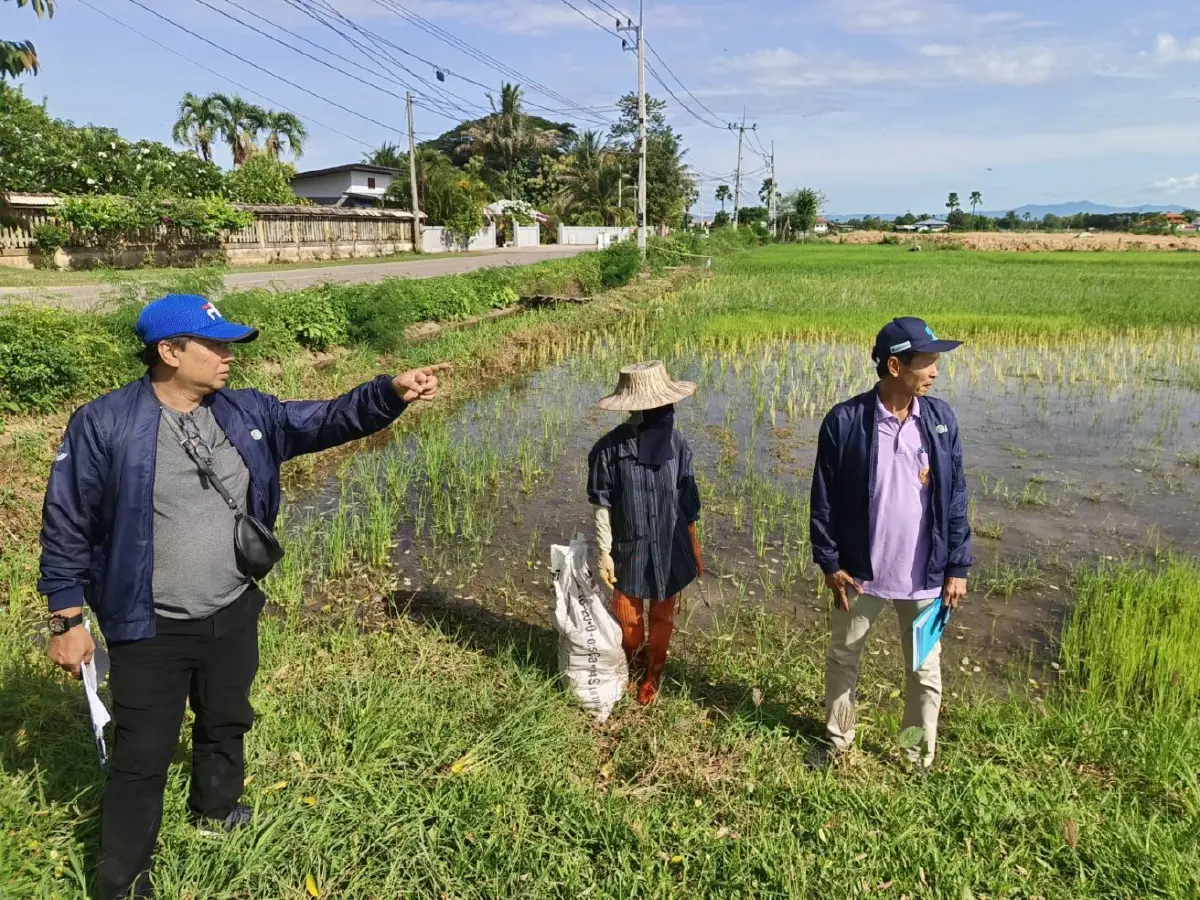 สศก. ลุย 74 จังหวัด สำรวจ Socio 2568/69  วัดความเป็นอยู่เกษตรกรไทย