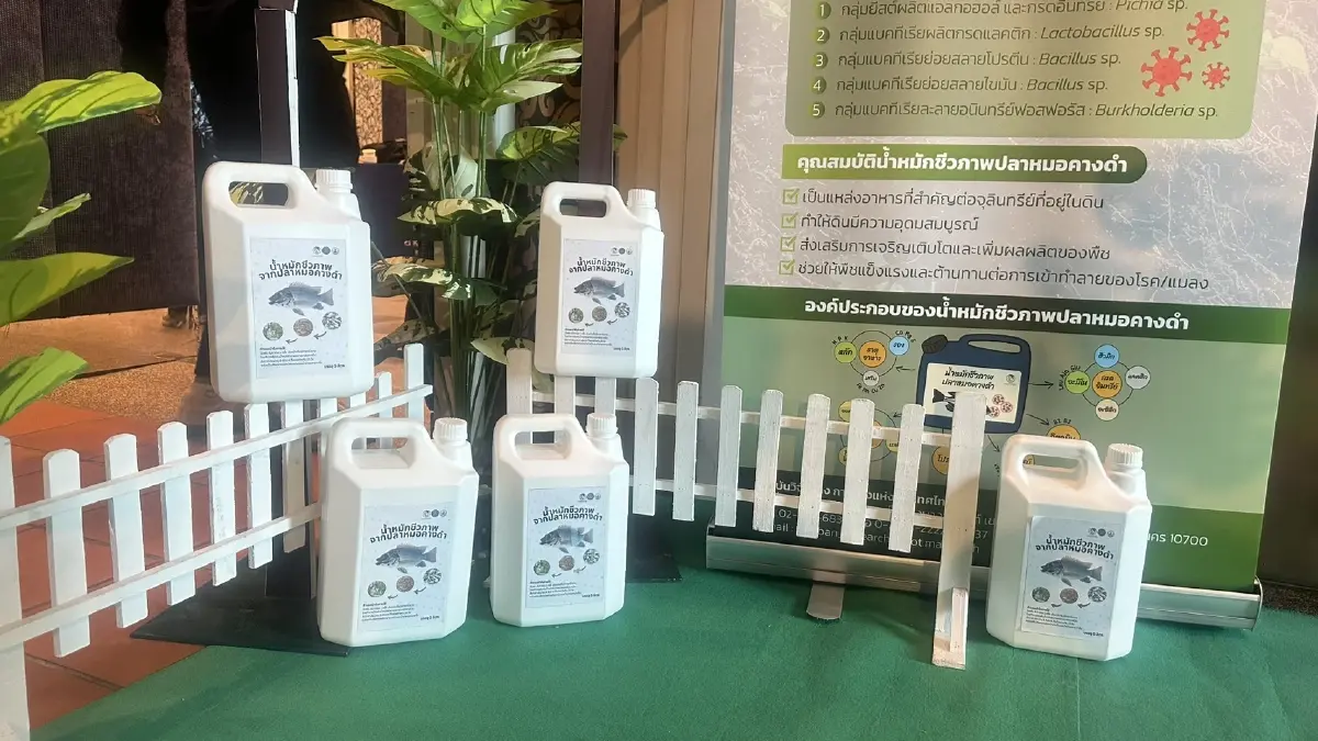 กยท.บูรณาการองค์ความรู้ วิจัย นวัตกรรม ตอบโจทย์อุตสาหกรรมยางทั้งระบบ