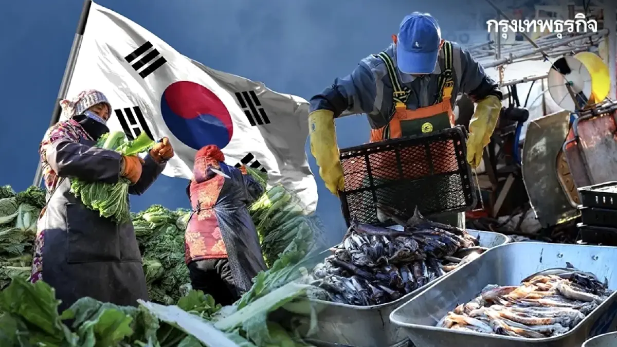 กรมการจัดหางาน เปิดรับสมัครชายไทย 1,900 คน ทดสอบภาษาทักษะทำงานเกาหลี