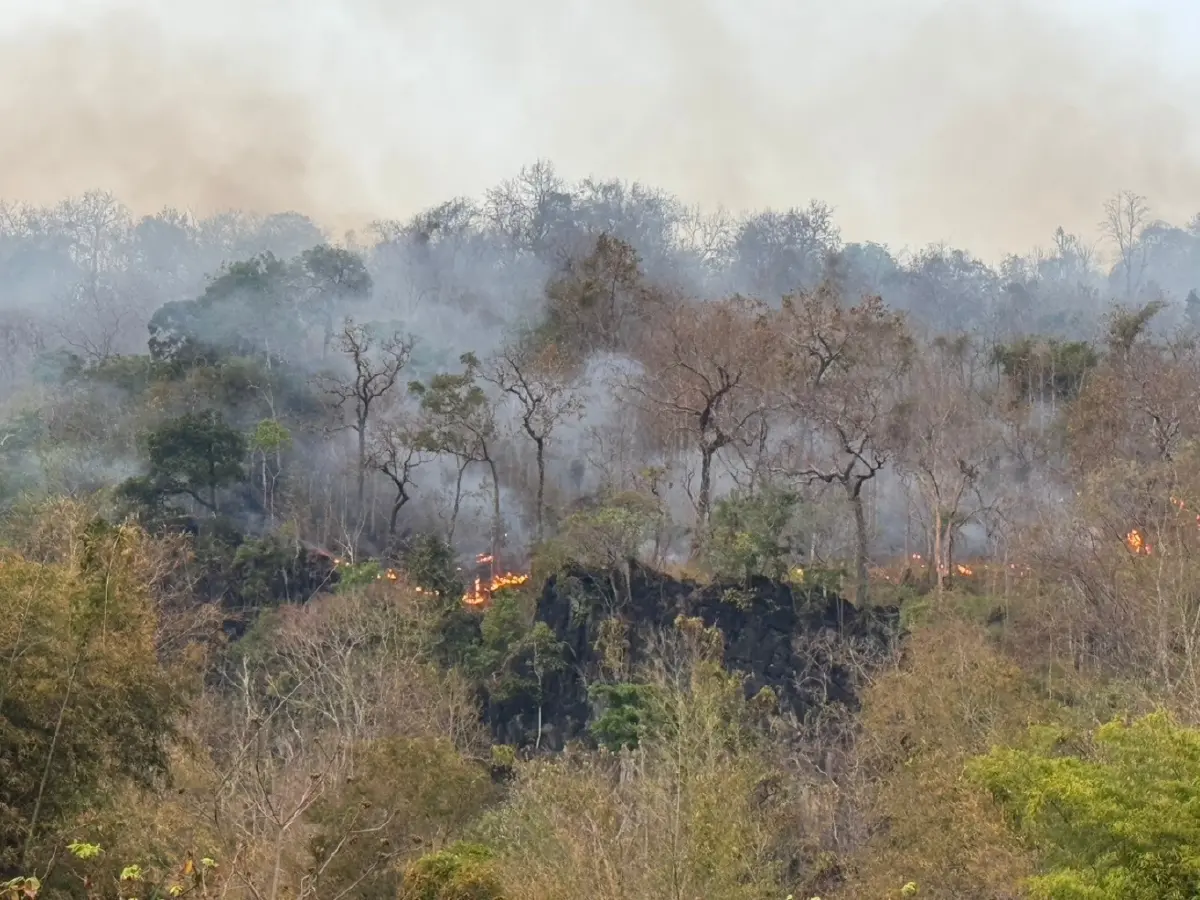 เหนือวิกฤต! จมฝุ่น PM2.5 พุ่ง 16 จว. 'ลำปาง-แพร่-ลำพูน-เชียงใหม่-ตาก' จุดความร้อนสูงสุด