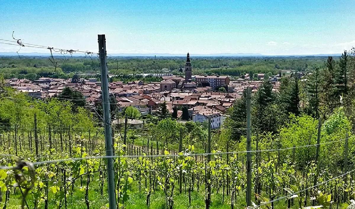 กัตตินารา - เกมเม : พระรองของแคว้นเพียดมอนต์?